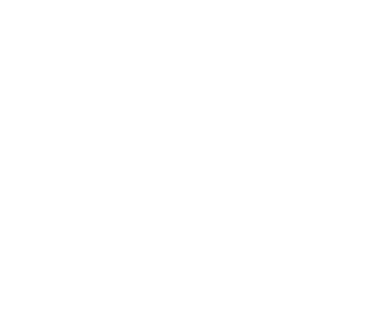 FestiGo Icon